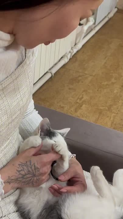 ����� ������������ ������ � ������� ������� ������� � �������� �������