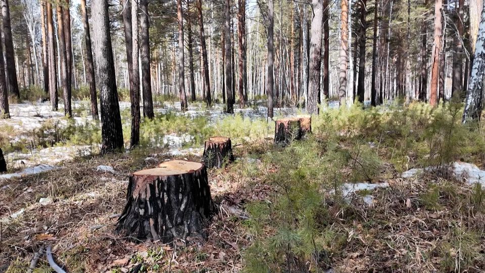 ����� ���������� ����� ������� � ����������� �� ����� ����������-����������������� ����������� �������