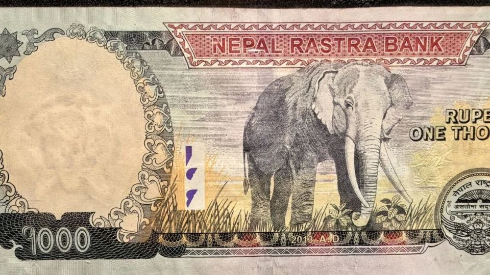 ��, �������� � �� �����, ��� ������� ���������� ������������� ���� �����