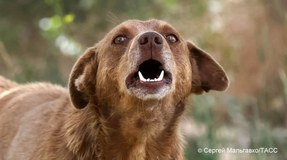 �������� ������ ������ �� ������������� �������� � ������ ���� ��������� �������