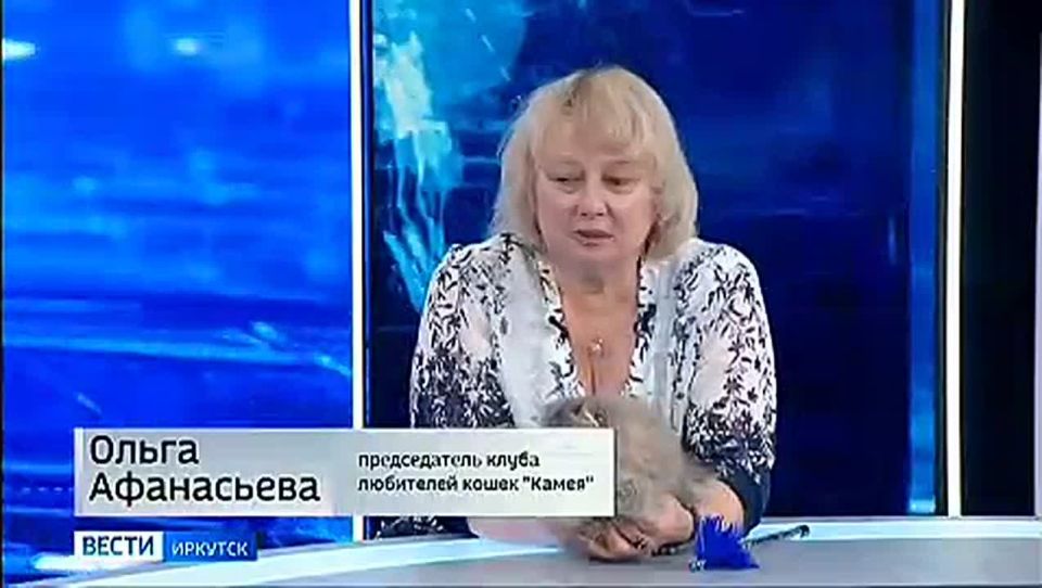 ����� ������ � ������������ ����� ��������� ����� ������� ����� ����������