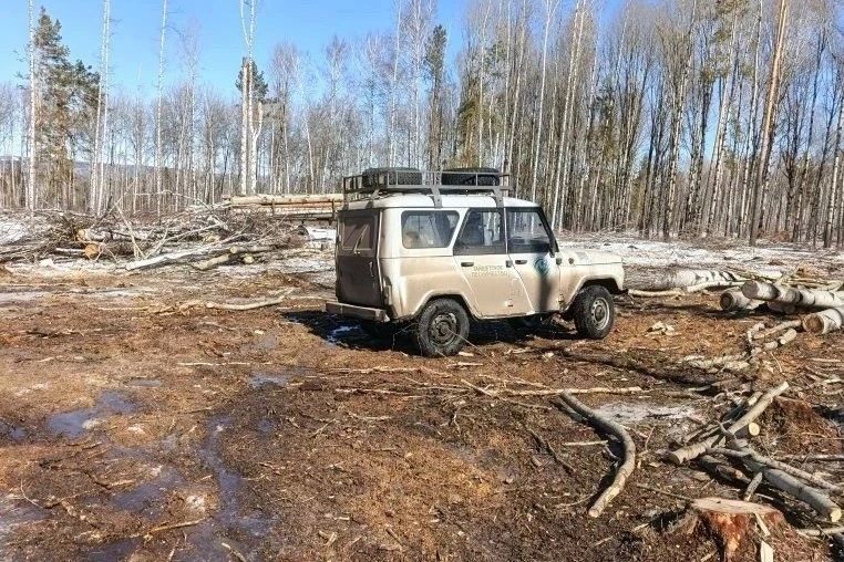 � ���������� ������� ����� ���������� ����� �� ����� ����������-����������������� ����������� �������