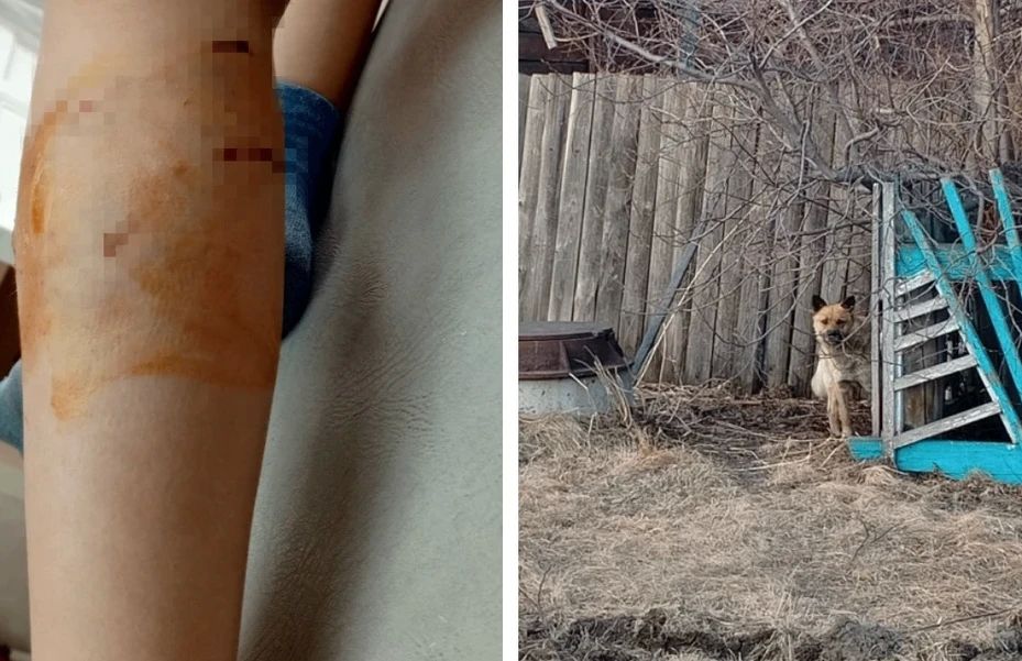 �����, �� ���� ������ �����������!� � � ����� ����� 9-������� ������ �� ������ ���� ������� ������� �������� ����, ������� ��������� ��������