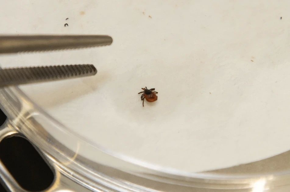 � ��������� ������� � ������ �������������� ������ ���������������� 105 ������� ������ ������