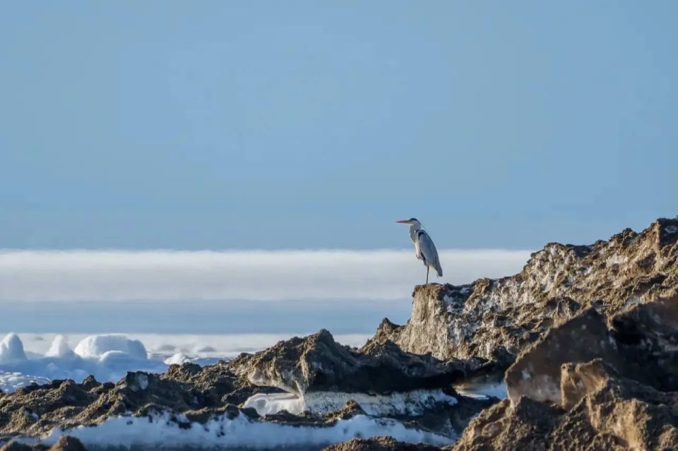 ��������� ��, ��-�� ���� ������ �����