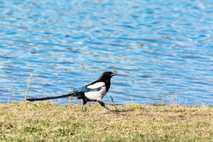 ������ ����!. � ����������� ������� ������ ����� ������ ������ �� ����� ����!�