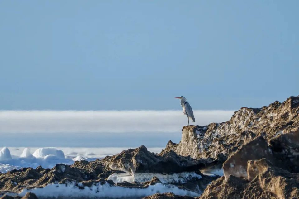 ��������� ��, ��-�� ���� ������ �����