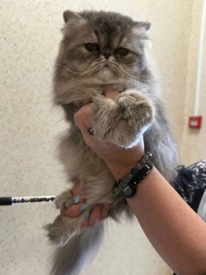 ������ ����������, ��� ������� � ��� � ������ ������