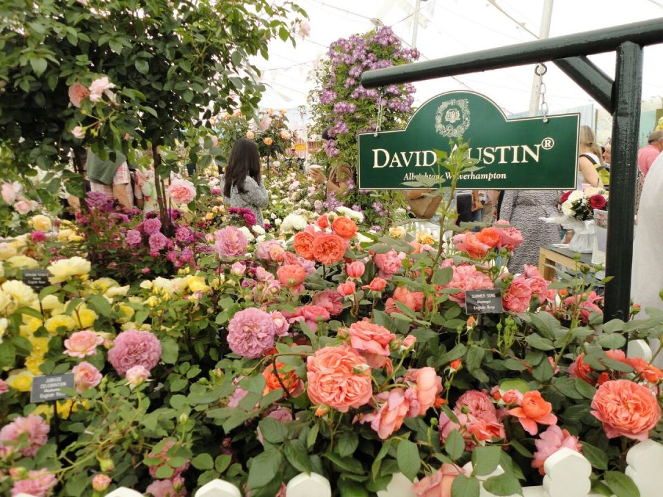 ���������� ����: ���������� ����� �� ������ ������