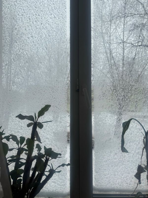 � ������ �� ������ �������� ������ ���� ������ ���������