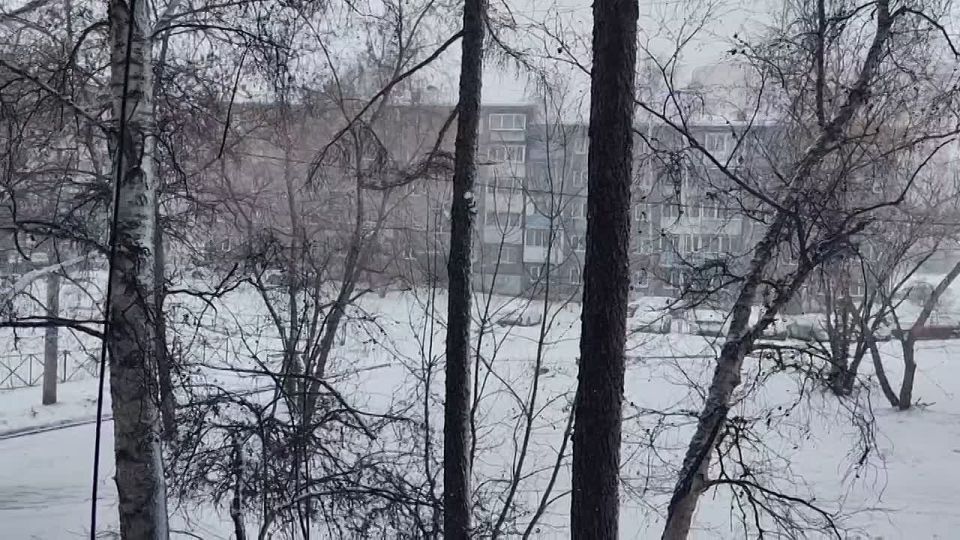 �������, �����, ������