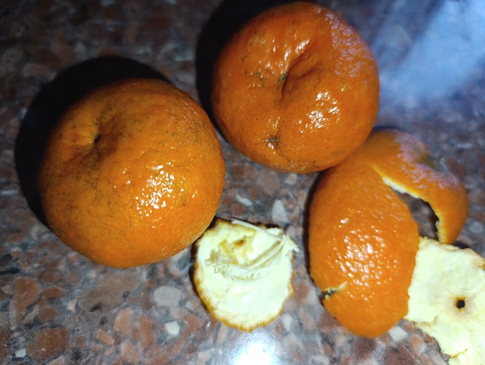 ������� ������������ �����: ����� ����������� ��� ������ ����