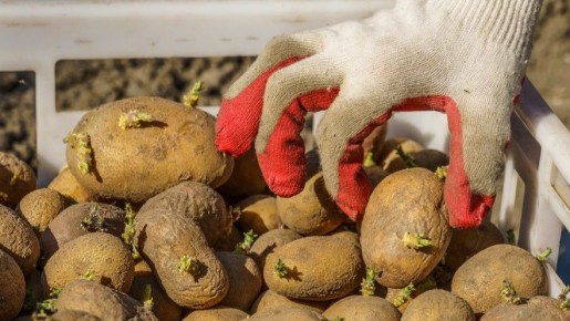 ��� ����� ������������ ��������� ������� ������: ������ ������