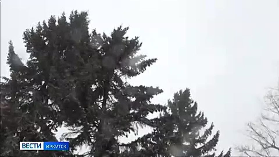 �������� ������� ������� ��� ������������� ����� ����� � �������� � ��������, � ����� � �� ������������