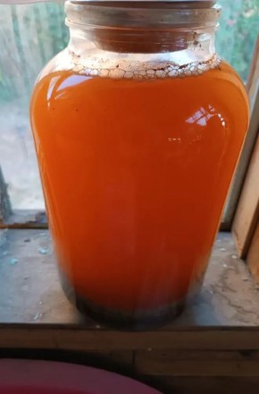 ���� � ���� � �� ����: ���������� �������, ������� ����� �������� �������