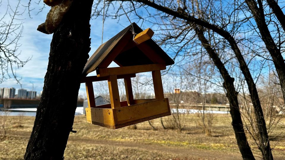 ������ ����, �������!