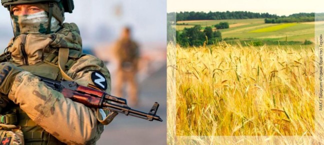 ���������. ����� ��������� Ǩ��� �� �����˻ ��� �� �����, ��� ���� ������� ���� ������ � ������ �������, �������