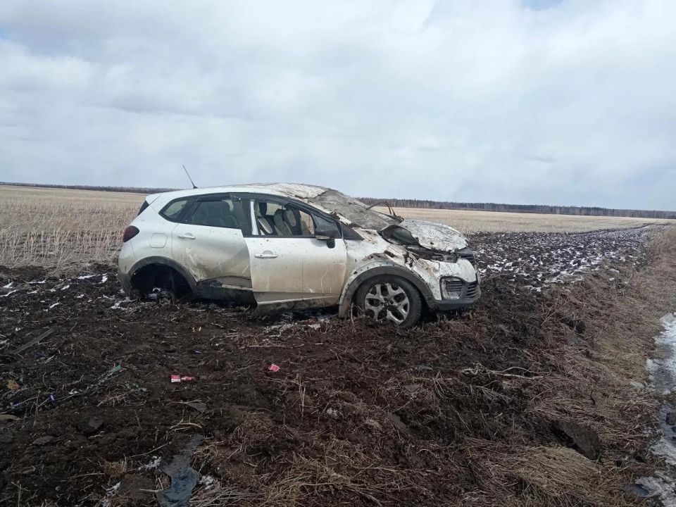 � ��������� ������� �� ������ ��������� 36 ���: 3 �������� �������, 41 ������� ������