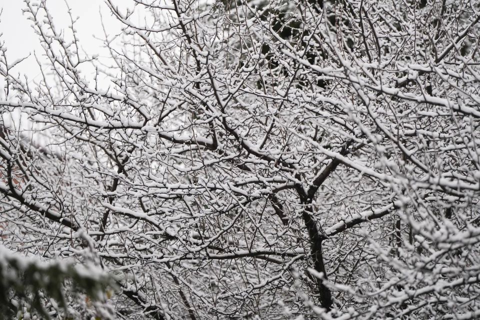 ������ ����, ��������� �������!