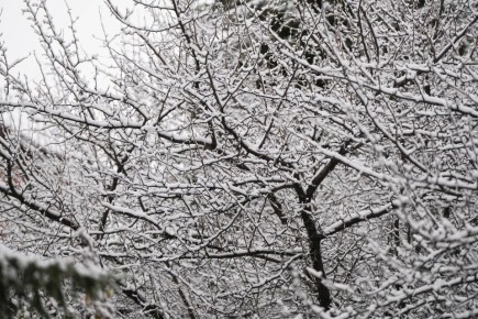 ������ ����, ��������� �������!