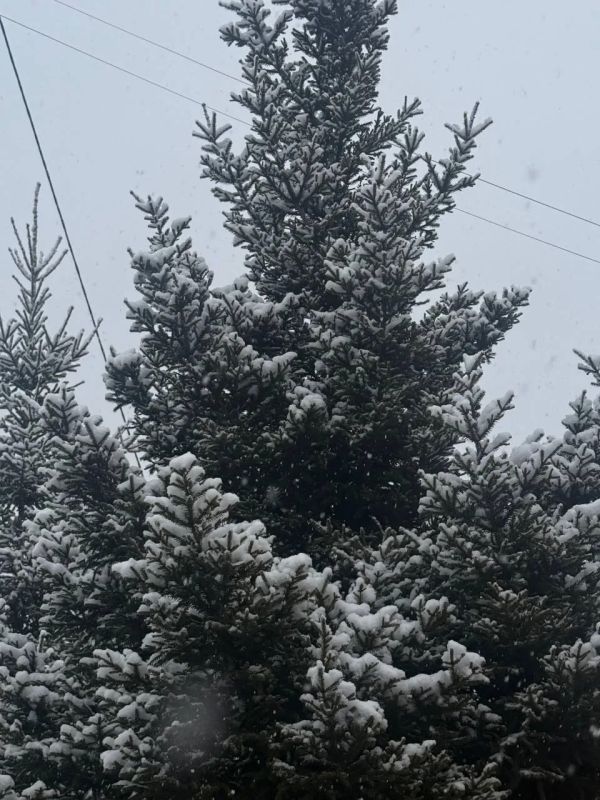 �������, � �������� ������ �� ������� ���� �������� ������ ������