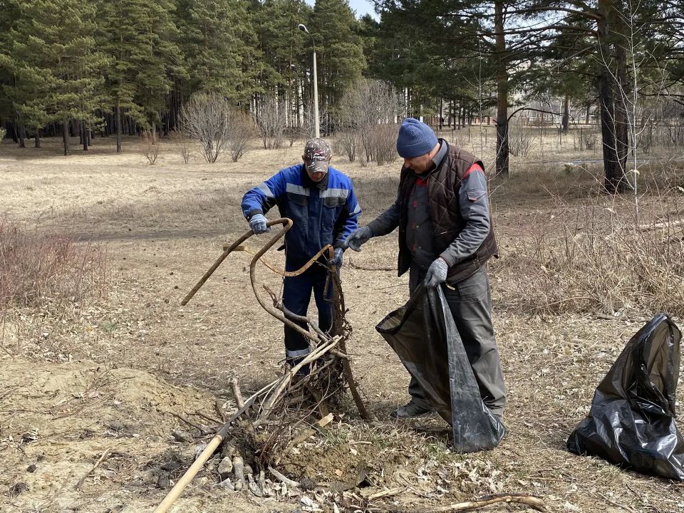 � �������� �������� ���������� �� ��������������� �����������