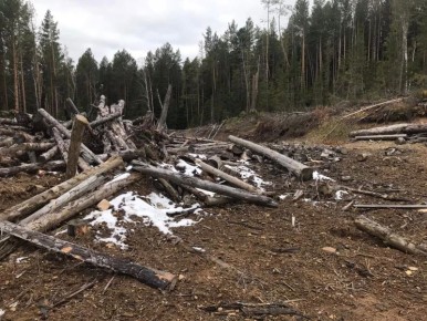 � �������� ������� �������� ������ ����������� ����� �� ���������� ����� �� ����� ����� 160 ��������� ������, �������� � ���