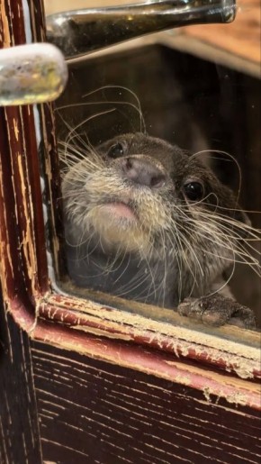 ������ ����������� ����� �� ���������� ���� �������