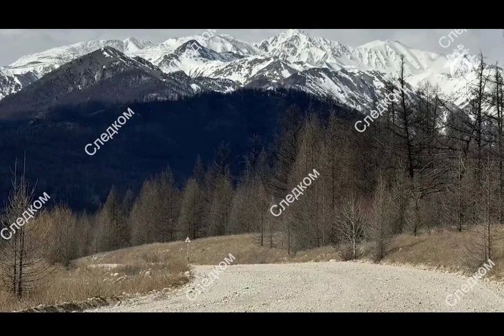 �����-������ ������ �� ��� ��������