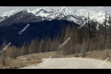 �����-������ ������ �� ��� ��������