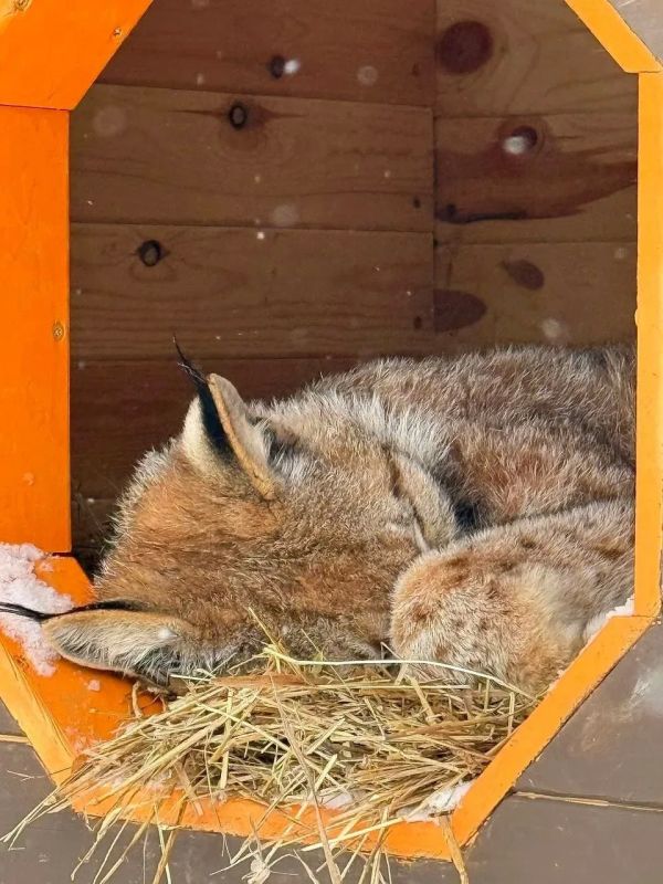 ������ ����, ��������� �������!