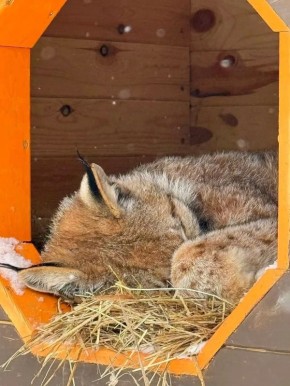 ������ ����, ��������� �������!