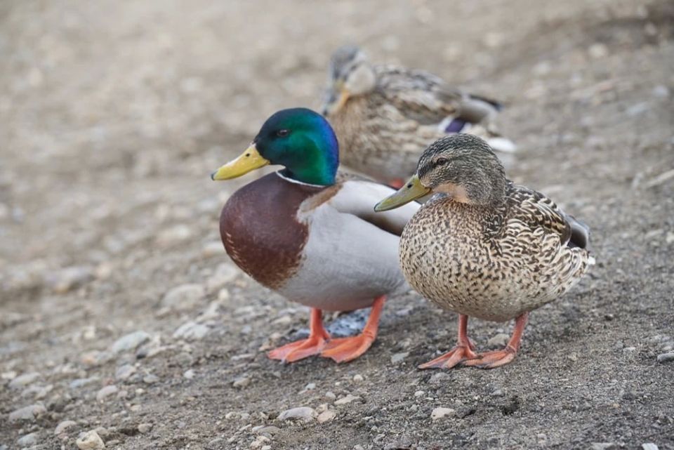 ������ ����!. �� �����, ����� �� �������� �� ���, �� ������� ������ ������ ��� �����