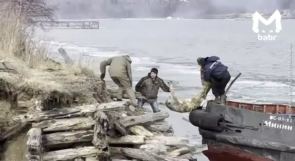 ���������� ������ ������ �� ������� ���� �� �������