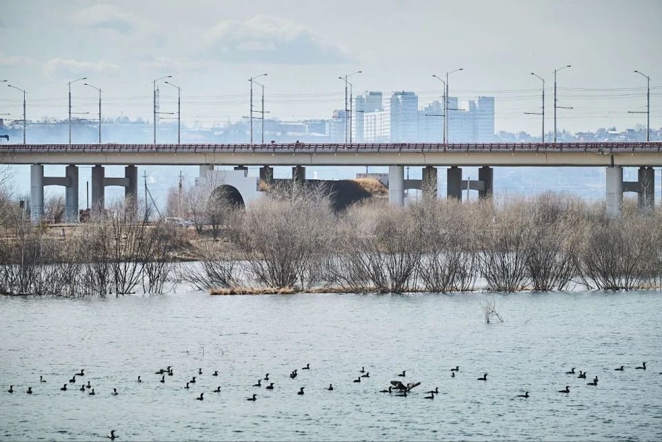 ������ ����!. ��������� ����� � � �������� ������ ����� ��� �����! ��� ������ ��� ������� ����� � ����� ������ ��. �� ������� �� ��� ����� ����� � ���� �������� ������ � ����� � ��������� �������������