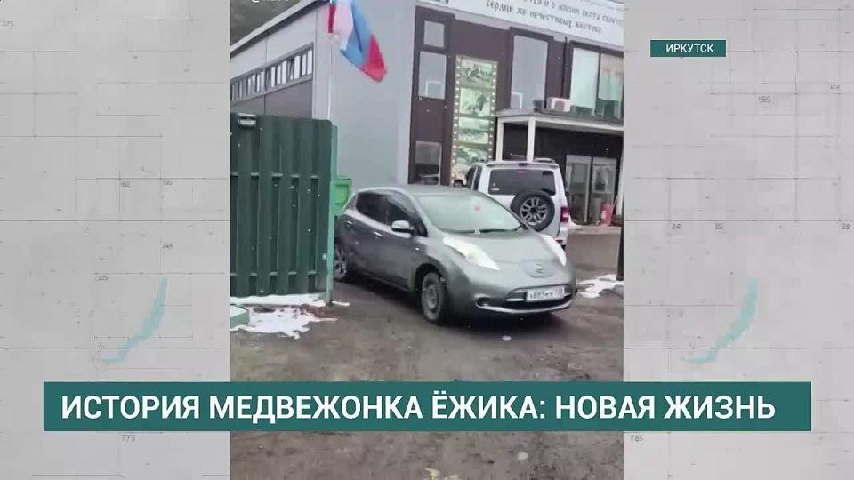 ��������� ���������� ���� �������� � ���������� �������