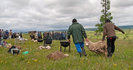 ������������ ��������� ����� ������������ ����� �������� � ������ �����, ���������� �� ���� ����� ��������, ������� ������������ ���������� ��� �����: �������, ����, ���, ����� � ���������