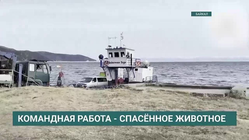 � �������������� ������������ ����� ������ ������� ������