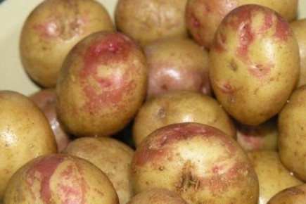 ��������� ����-��-�����: ����������� ������� �� ������� ��������