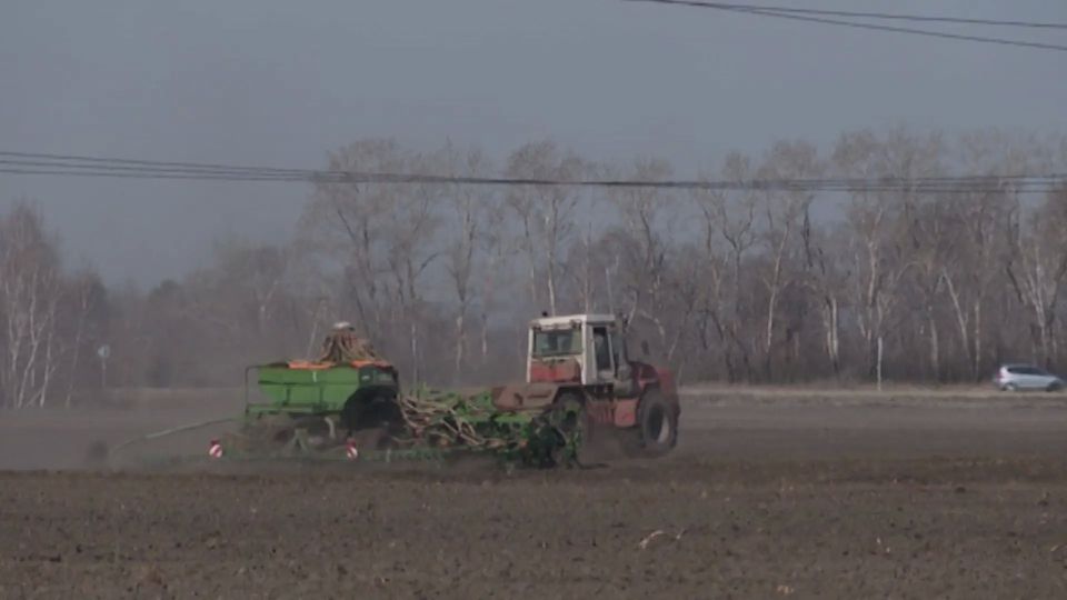 ������� ������� � ��������� ������� ���� ������ �������� 590 ����� ��������