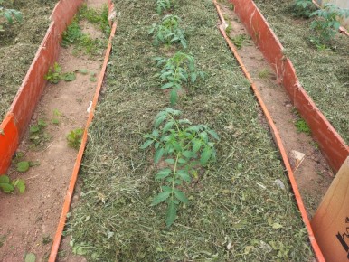 ��������� �����: ��� �� ������ ������ � ��������������