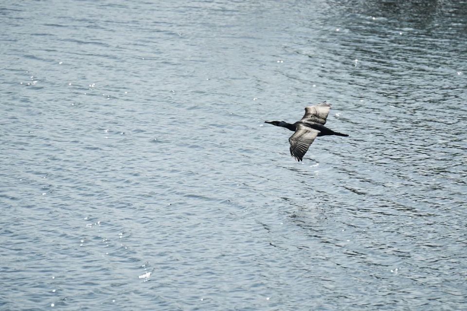 ������ ����!. ��� ����� �� � ����� ������, ��� ����� ����������