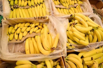 ������ ����� ������ ����������, ��� ������� ��� �������� ������ � ������ � ������� � �������� ������