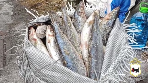 ����� � 10 ��������� ������ ������ �����, ���������� ������� ������������, ��������� � ������������� ������ �����, ������������� ������������