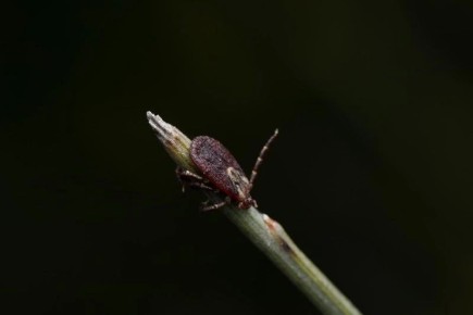 ��������� ������� ���������� �������� �� ������