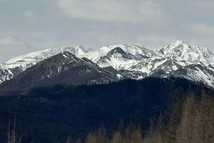 ������� ���� ��������� ������ ����� �� ������ ������: ����� ��������, ��� ������� � ����� ��� ������� �� �����-������ � �������