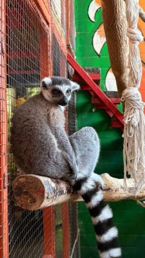 ����� ������� � �� �����