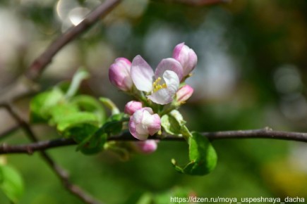 ��� �������� ������ � ����� �� ����������: �������� ���� �� ������