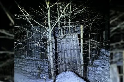 ���������� �������� ������� ���� ����� �� ���������������� ����� � ����-�������