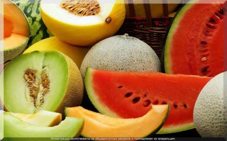 ������� ������� ������� � ����: ��� �������� �������� ������ �� ����